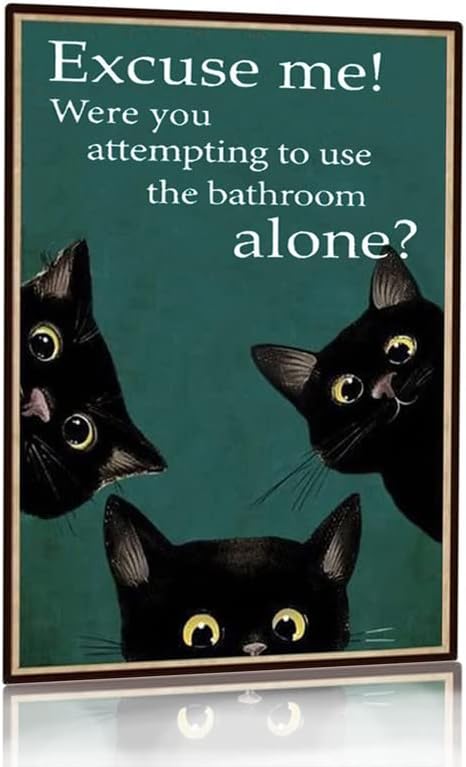 Papan Tanda Dekorasi Kamar Man - Home Alone Bathroom ulasan dan harga